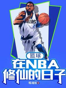 篮球nba经营类小说